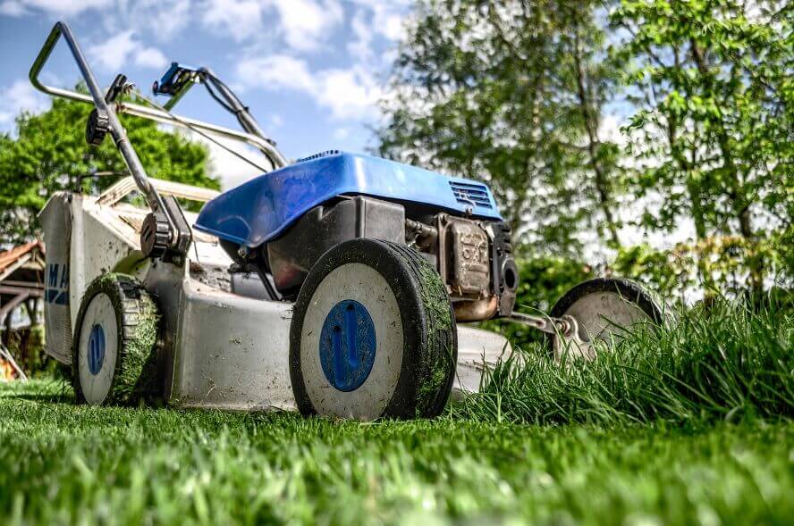 4 Ways to Be Safe When Maintaining Your Yard